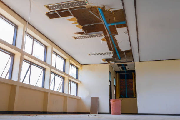 Best Professional water damage repair  in Lockwood, MT