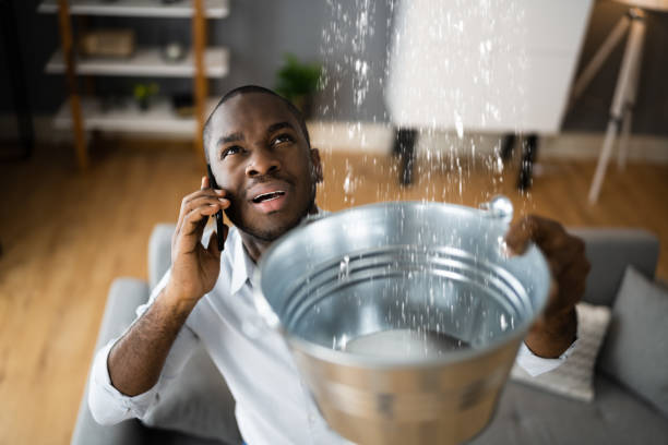 Best Sewage cleanup and water damage restoration  in Lockwood, MT