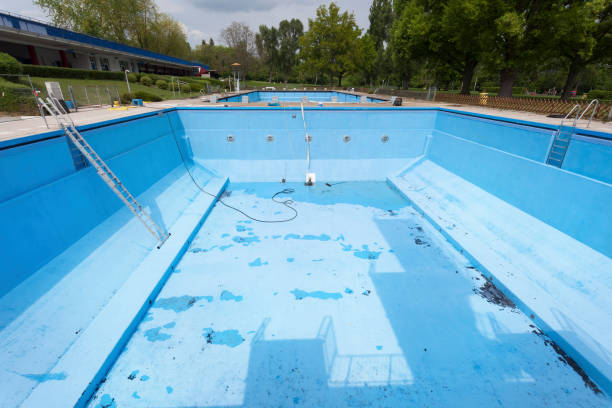 Best Mold removal after water damage  in Lockwood, MT