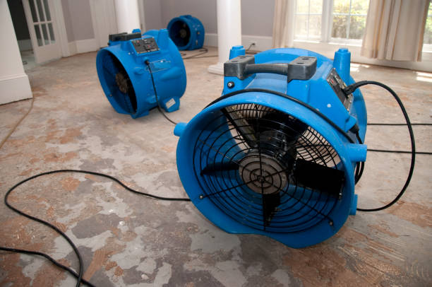 Best Commercial water damage restoration  in Lockwood, MT