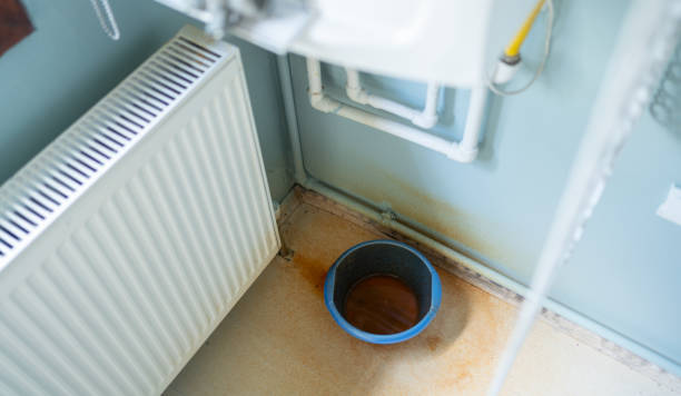 Best Water damage cleanup near me  in Lockwood, MT
