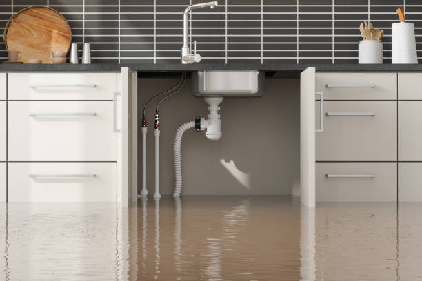 Best Residential water damage restoration  in Lockwood, MT