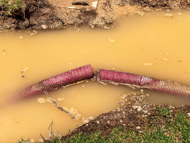 Best Emergency water damage restoration  in Lockwood, MT