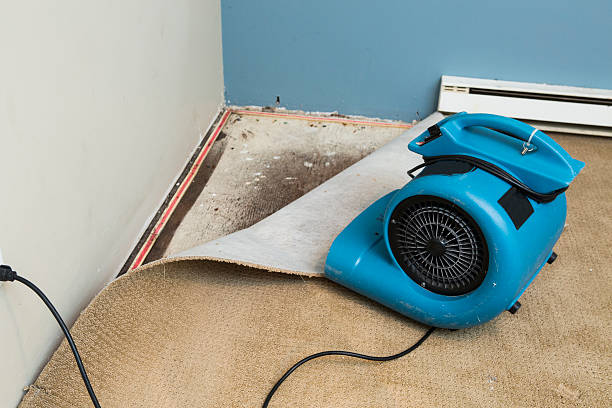 , MT Water damage restoration Company